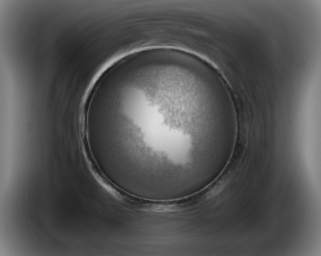 X0000086001519200703300936