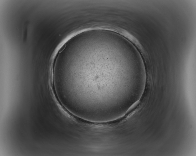 X0000086001520200703300936