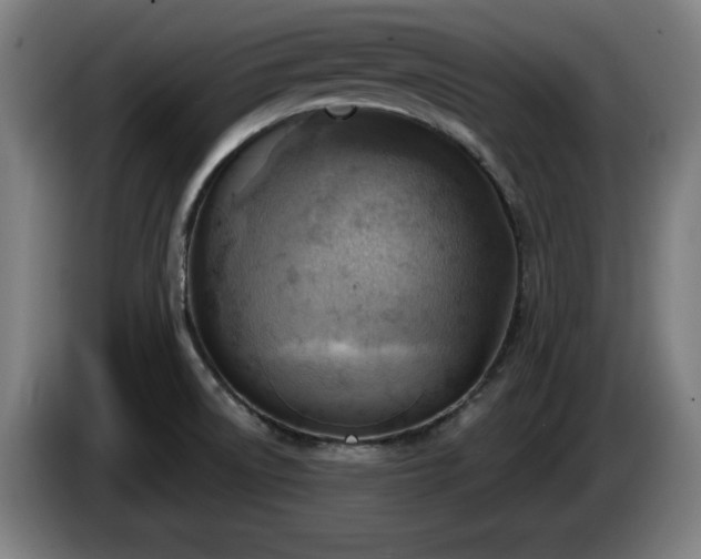 X0000086001522200703300936