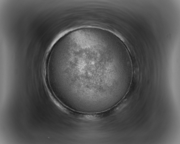 X0000086001523200703300936