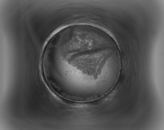 X0000086001525200703300936