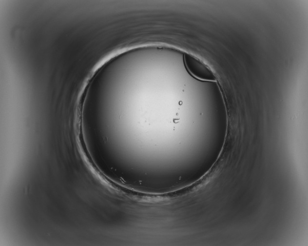 X0000086001526200703300936