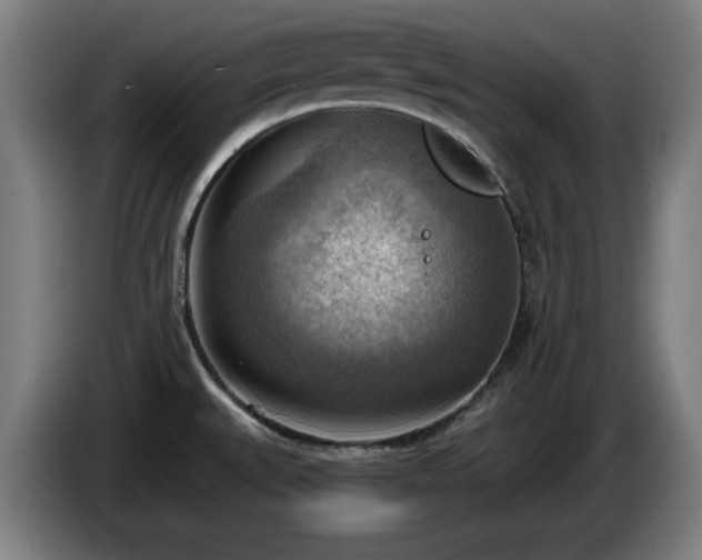 X0000086001527200703300936