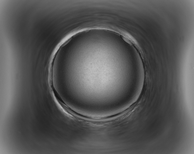 X0000086001528200703300936