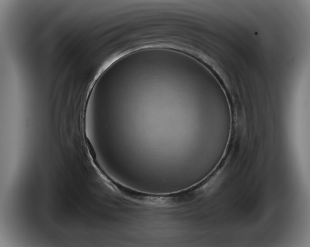 X0000086001529200703300936