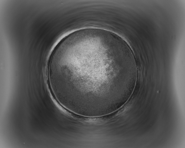 X0000086001531200703300936
