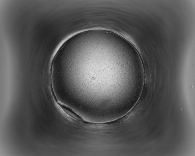 X0000086001532200703300936