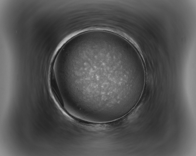 X0000086001533200703300936