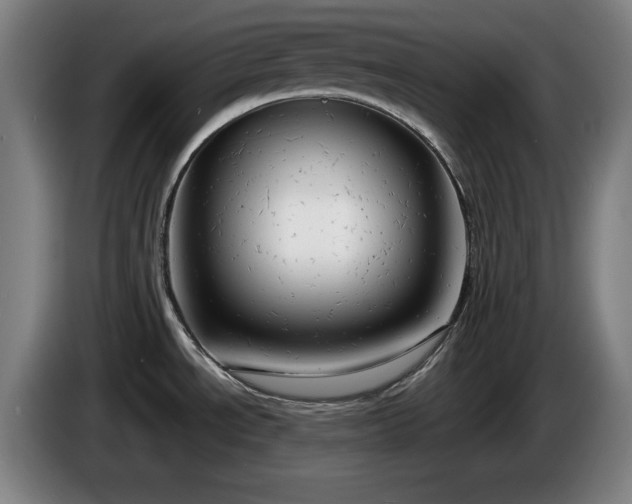 X0000086001534200703300936