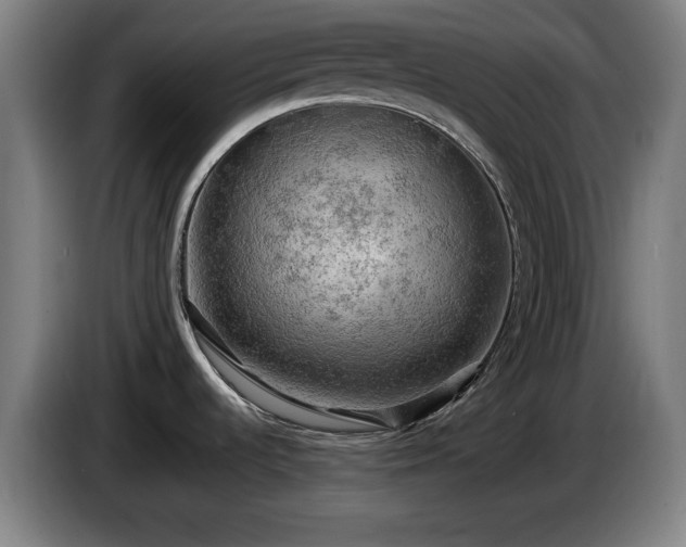X0000086001536200703300936