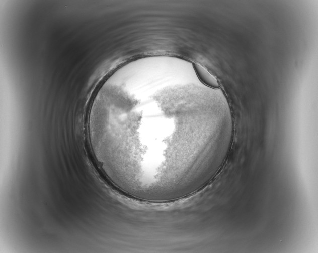 X0000086000002200704091046