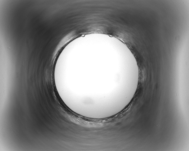 X0000086000004200704091046