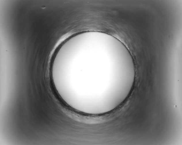 X0000086000008200704091046