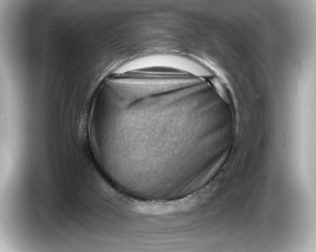 X0000086000009200704091046