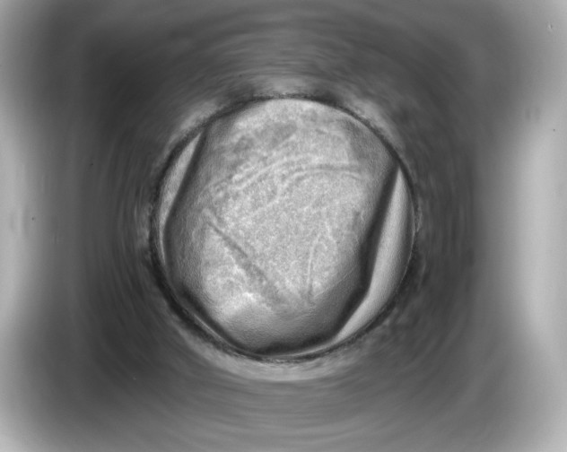 X0000086000010200704091046