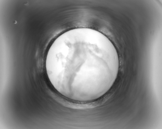 X0000086000012200704091046