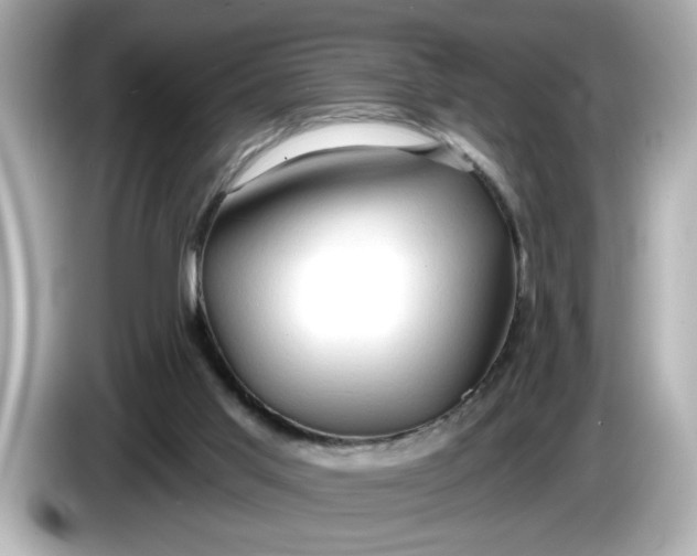 X0000086000013200704091046