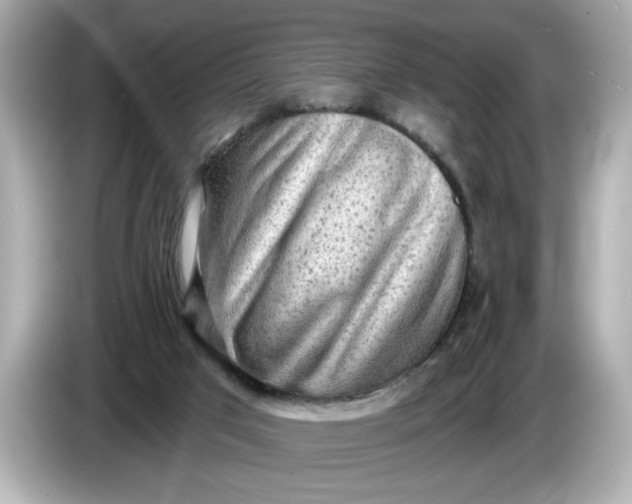 X0000086000017200704091046