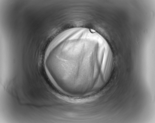 X0000086000018200704091046