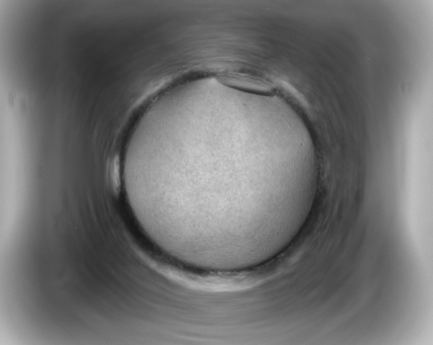 X0000086000020200704091046