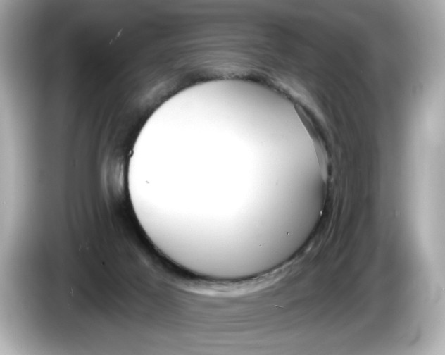 X0000086000021200704091046