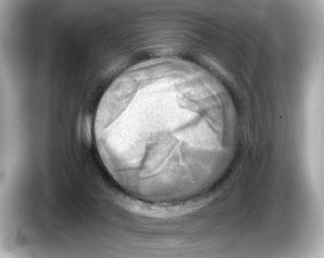 X0000086000022200704091046