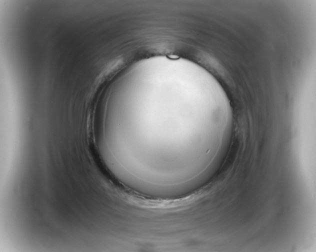 X0000086000023200704091045