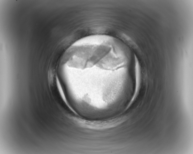 X0000086000026200704091045