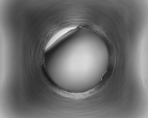 X0000086000031200704091045