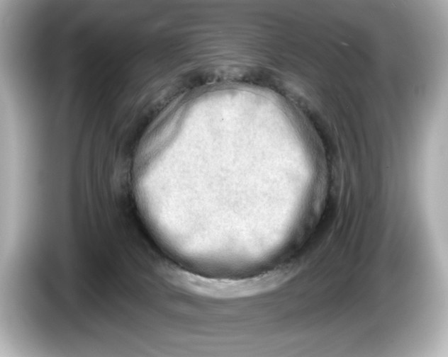 X0000086000034200704091045