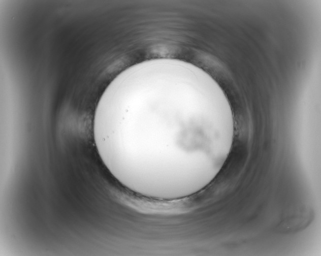 X0000086000036200704091045