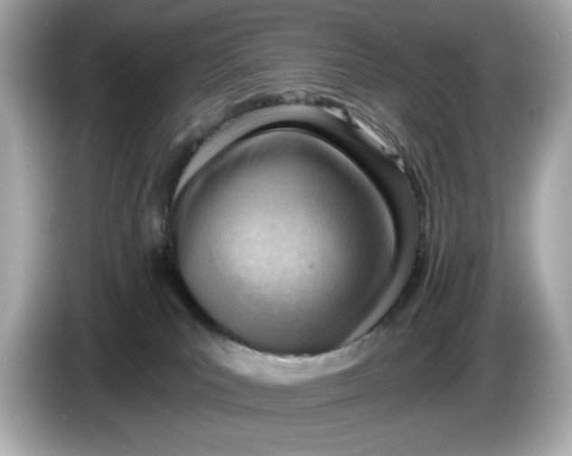 X0000086000039200704091045