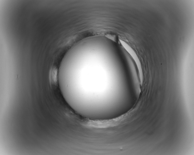 X0000086000041200704091045