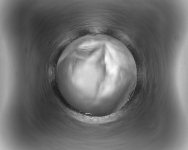 X0000086000043200704091045