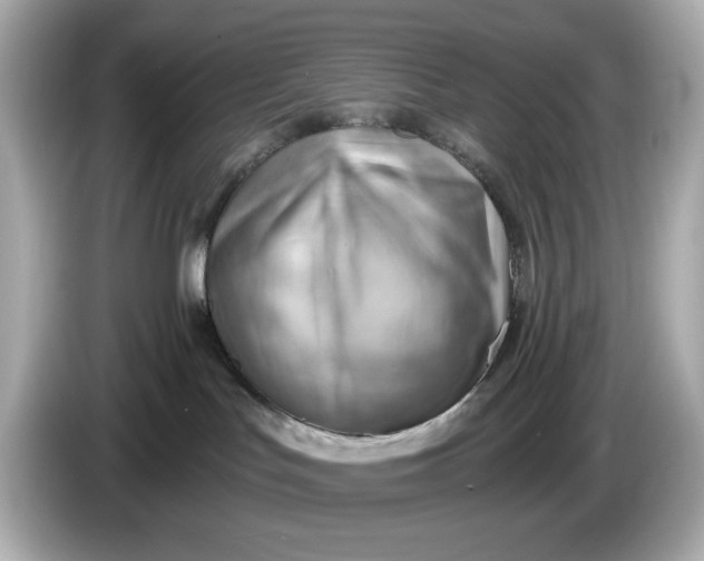 X0000086000047200704091045