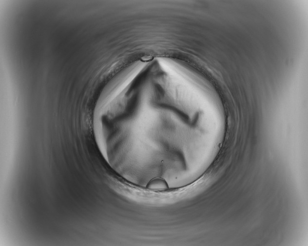 X0000086000048200704091045