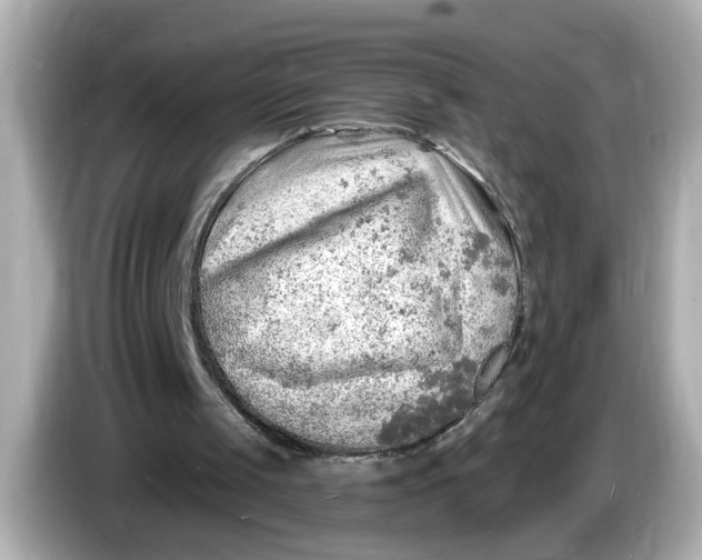 X0000086000049200704091045