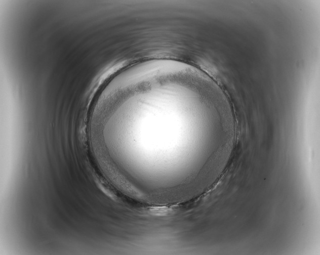 X0000086000050200704091045