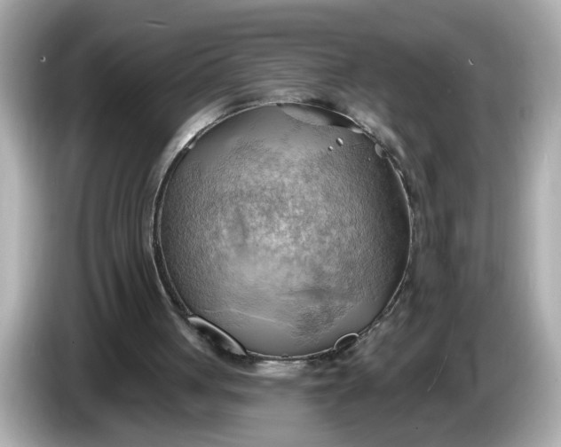 X0000086000051200704091045