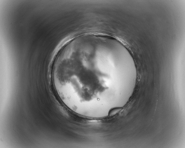 X0000086000053200704091045