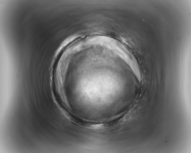 X0000086000054200704091045