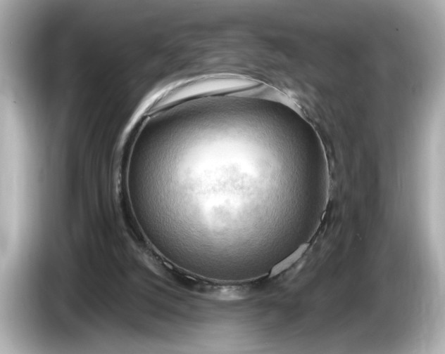 X0000086000056200704091045