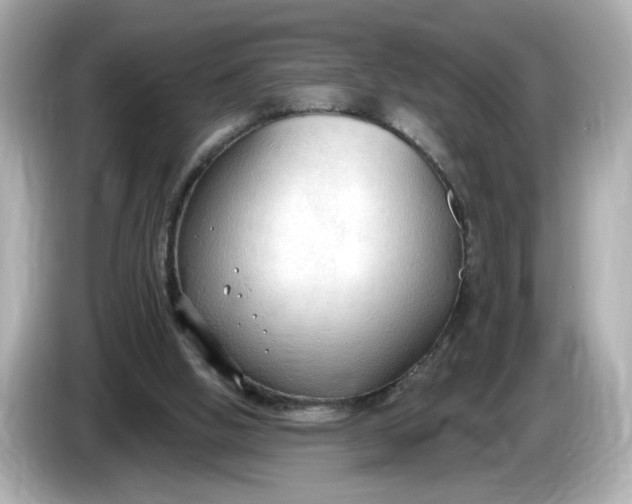 X0000086000058200704091045