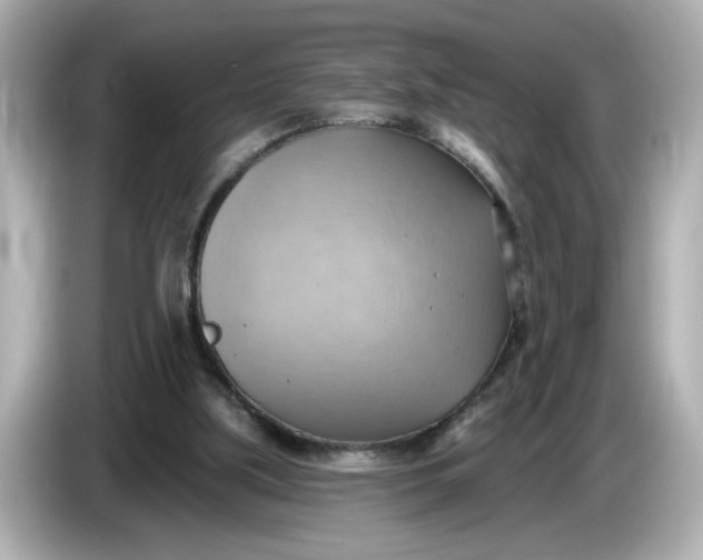 X0000086000059200704091045