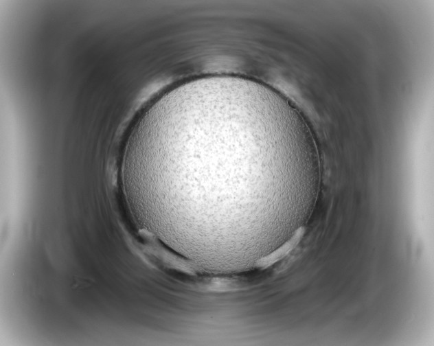 X0000086000060200704091045