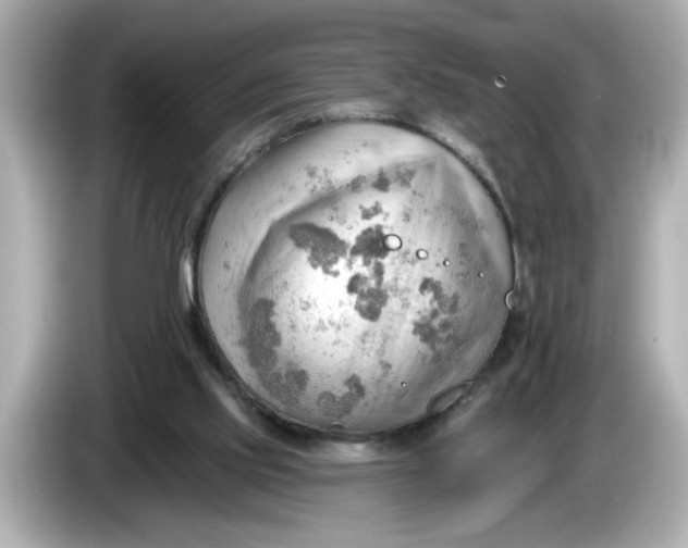 X0000086000061200704091045