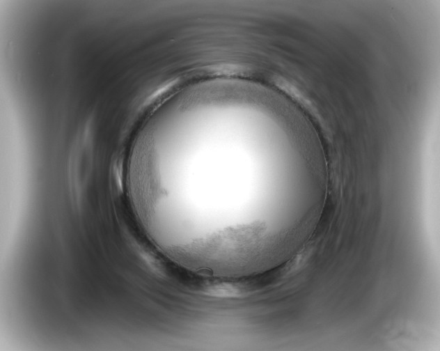 X0000086000062200704091045