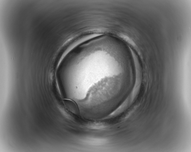 X0000086000063200704091045