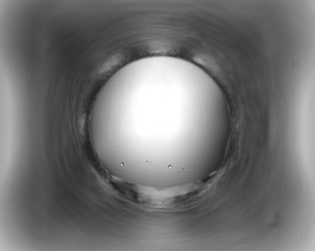 X0000086000066200704091045