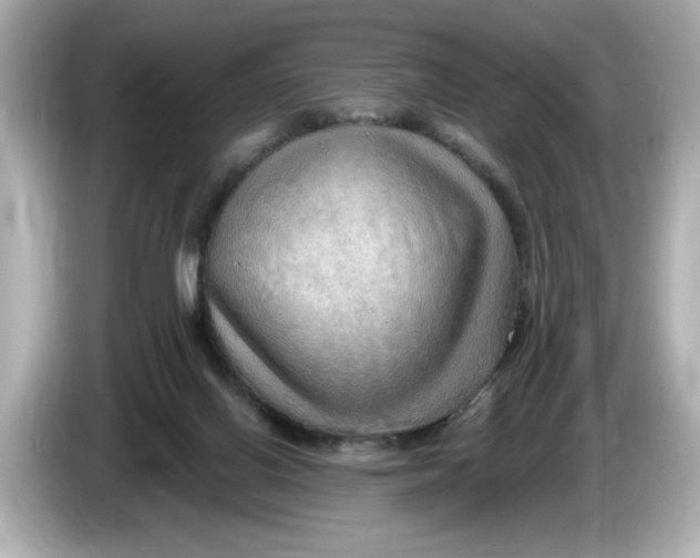 X0000086000070200704091045